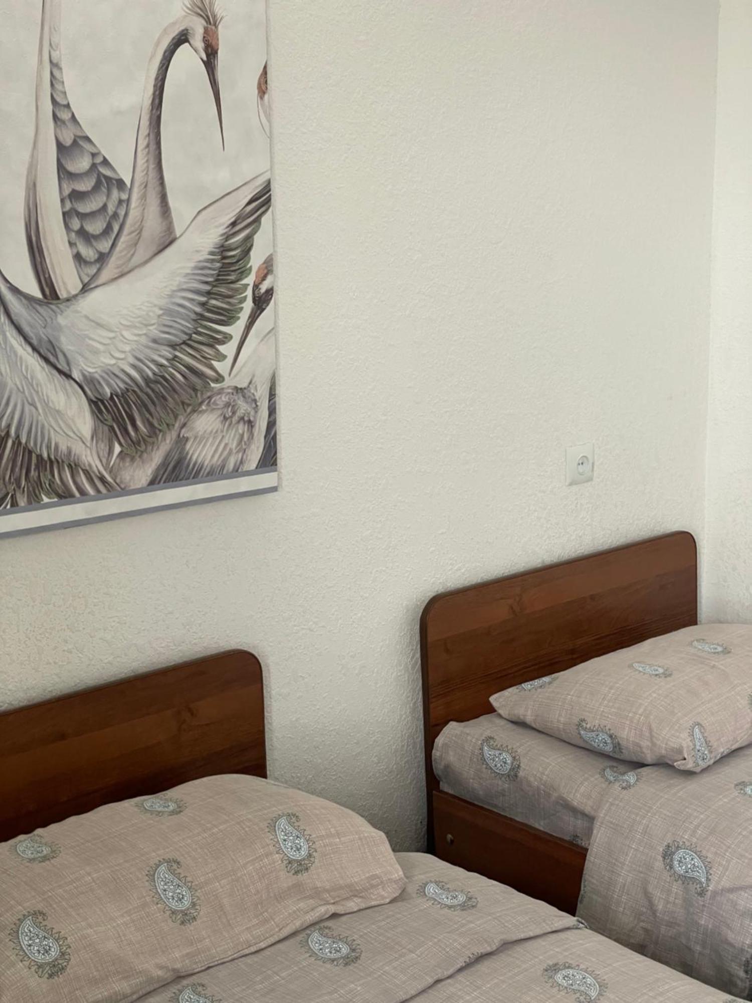 Wings Art Hotel Cholpon-Ata Exterior photo